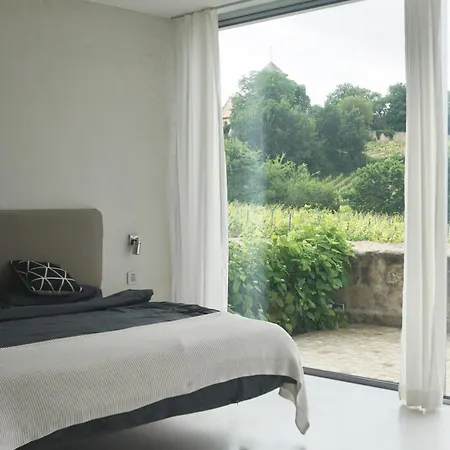 Appartement Modernes In Den Weinbergen Der Pfalz Herxheim am Berg