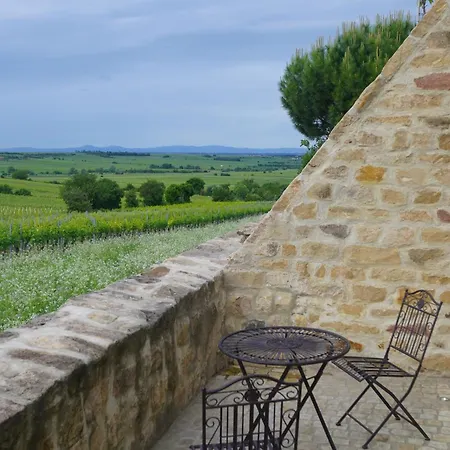 Modernes In Den Weinbergen Der Pfalz * Herxheim am Berg