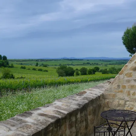 Modernes In Den Weinbergen Der Pfalz Appartement
