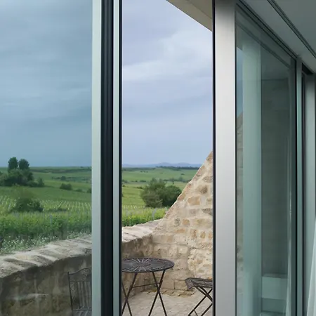 Modernes In Den Weinbergen Der Pfalz