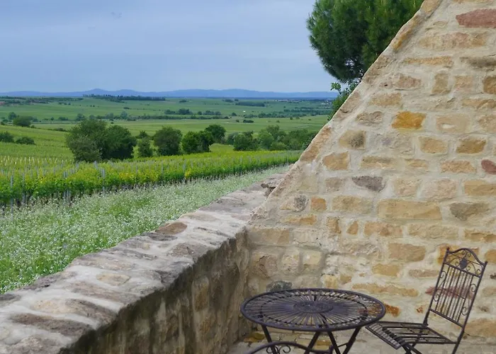 Modernes In Den Weinbergen Der Pfalz * Herxheim am Berg