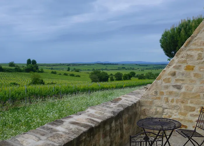 Modernes In Den Weinbergen Der Pfalz Apartamento