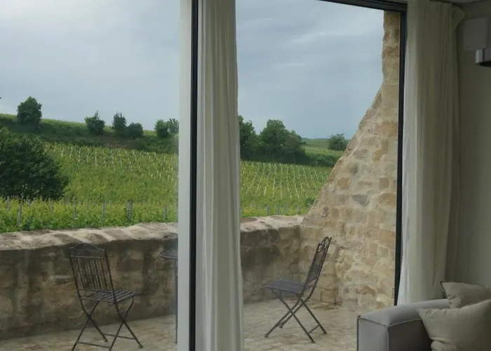 Apartamento Modernes In Den Weinbergen Der Pfalz Herxheim am Berg