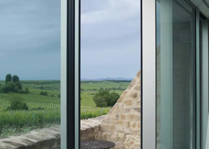 Modernes In Den Weinbergen Der Pfalz